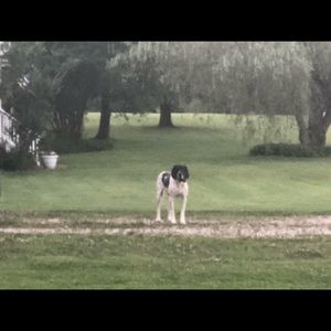 Meet your Posher, Janet